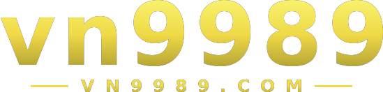 vn9989 logo
